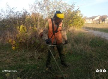 Коммунальщики благоустраивают зеленые зоны в старой части Мариуполя