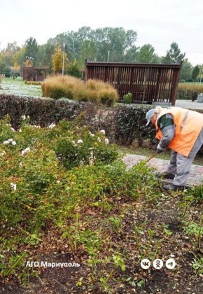 Коммунальщики благоустроили ряд зеленых зон Мариуполя