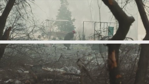 Мы в Telegram. Мы в МАХ