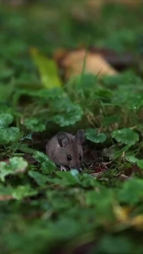 С добрым утром, Мариуполь!
