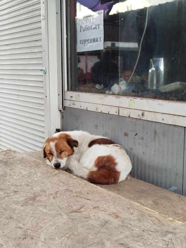   -!.   ,    ,    ,    ,       ,         ...