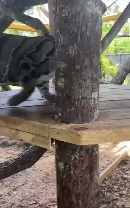 Спокойной ночи, Мариуполь!