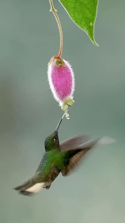 Спокойной ночи, Мариуполь!