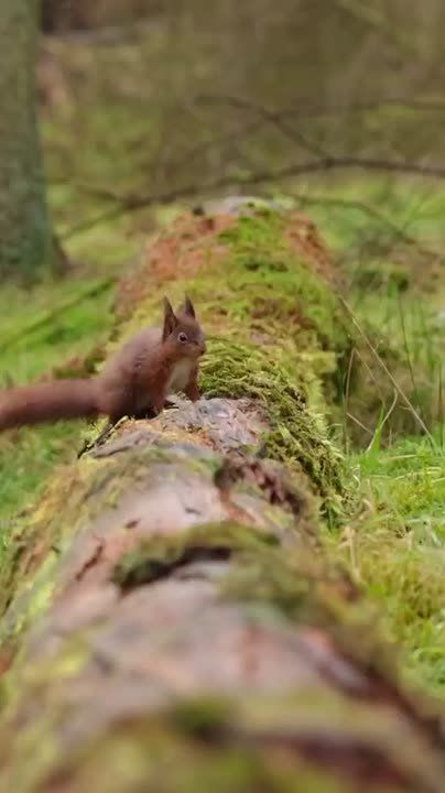 С добрым утром, Мариуполь!