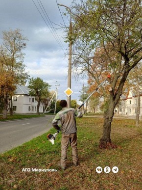 Мариупольские коммунальщики продолжают обрезку аварийных деревьев
