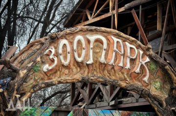 Суд признал убитого тигром «волонтера» сотрудником Мариупольского зоопарка