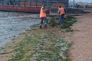 В Мариуполе расчистили пляжи от мусора и медуз