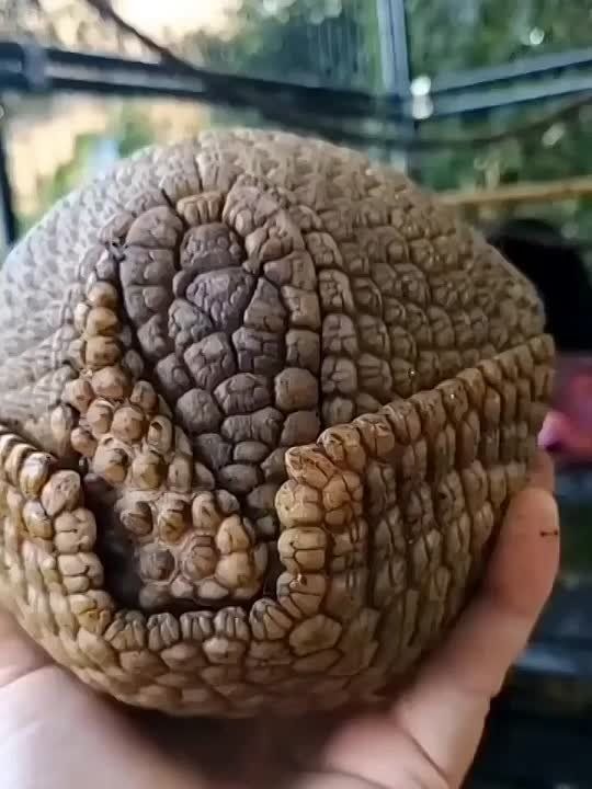 С добрым утром, Мариуполь!