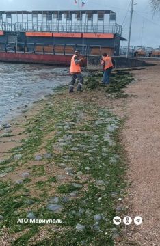В Мариуполе коммунальщики расчистили пляжи от выбросов моря