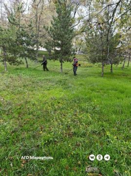 В Мариуполе коммунальщики продолжают сезонные работы по благоустройству зеленых зон