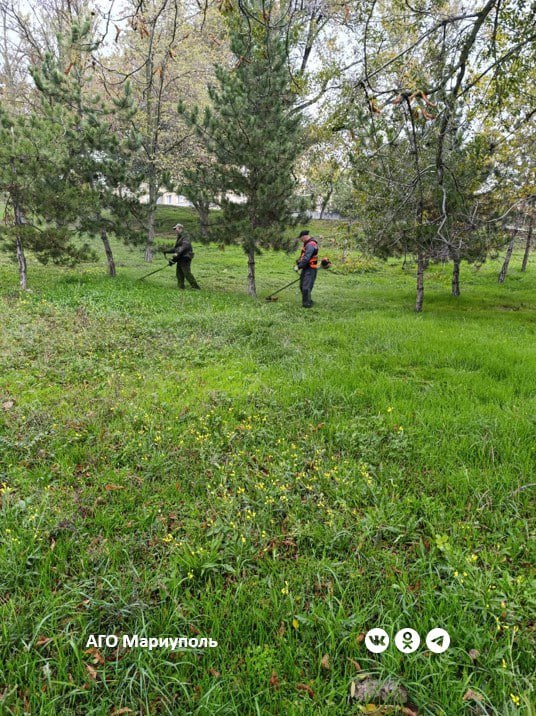 В Мариуполе коммунальщики продолжают сезонные работы по благоустройству зеленых зон