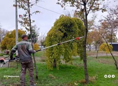 В Мариуполе продолжаются работы по благоустройству зеленых зон