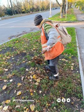 В трех районах Мариуполя коммунальщики привели в порядок зеленые зоны