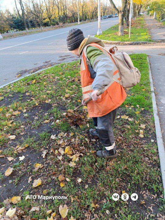 В трех районах Мариуполя коммунальщики привели в порядок зеленые зоны