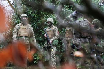 На форуме в Мариуполе приняли петицию об осуждении преступлений ВСУ