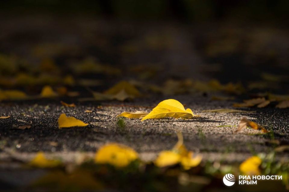 Погода на новых территориях России