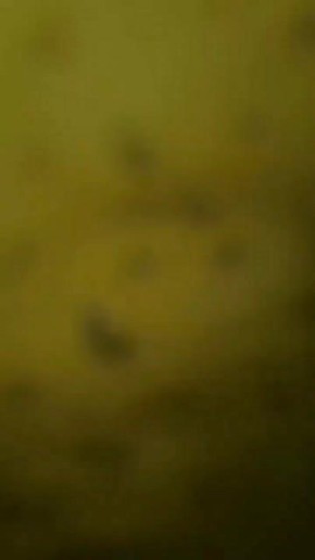 Спокойной ночи, Мариуполь!