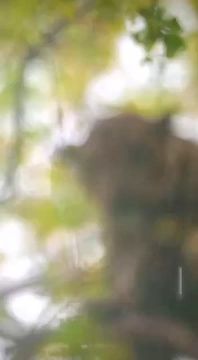 Спокойной ночи, Мариуполь!