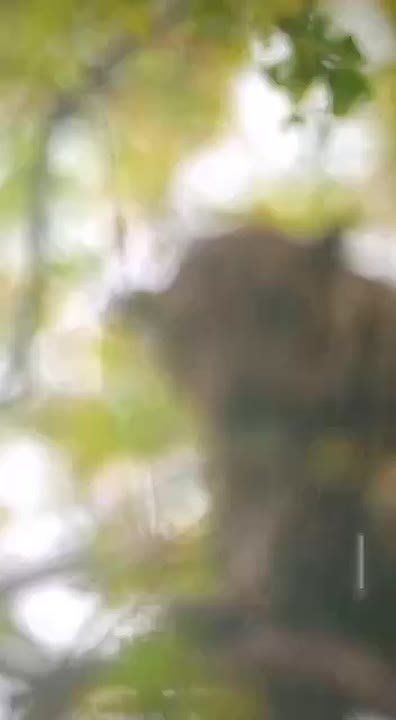 Спокойной ночи, Мариуполь!