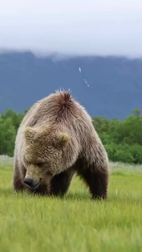 Спокойной ночи, Мариуполь!