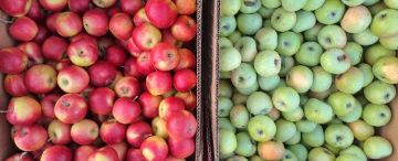 Еженедельная ярмарка в городе Мариуполь