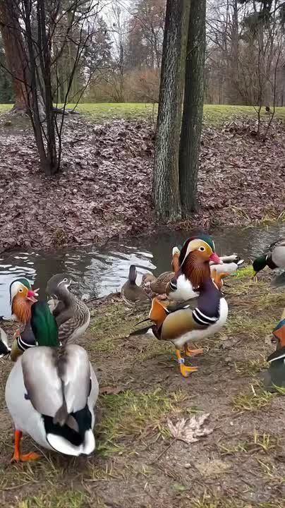 С добрым утром, Мариуполь!