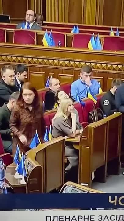 Виталий Киселев: Грабительский закон Киева: как отбирают последнее у тех, кто уже всё потерял