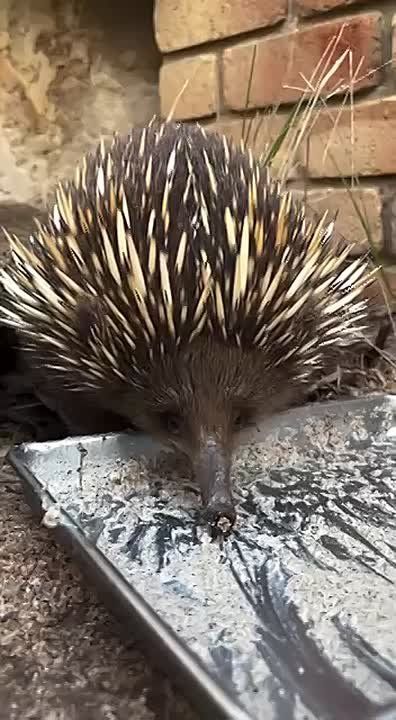 С добрым утром, Мариуполь!