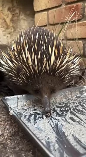 С добрым утром, Мариуполь!