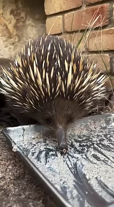 С добрым утром, Мариуполь!