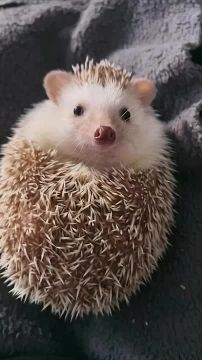 Доброе утро, Мариуполь!. Пусть этот день начнётся с хорошего настроения, доброй улыбки, вкусного завтрака и исполнения желаний