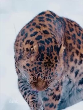 Спокойной ночи, Мариуполь!