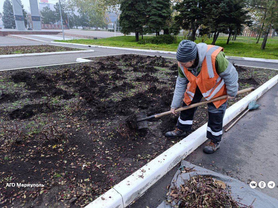 В Мариуполе коммунальщики продолжают готовить цветники к зиме