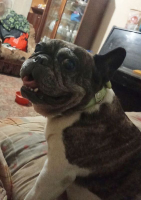   &quot;&quot;.        -  