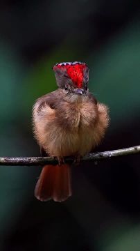 Спокойной ночи, Мариуполь!