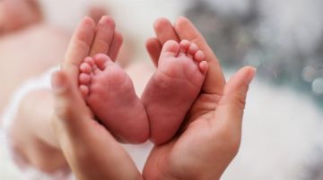 1 В ДНР запустили проект по повышению рождаемости