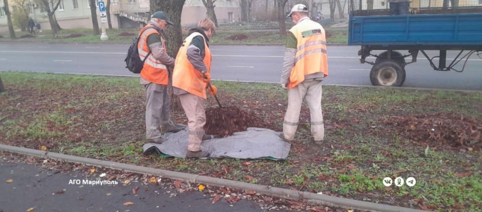 В Мариуполе коммунальщики продолжают благоустройство зеленых зон