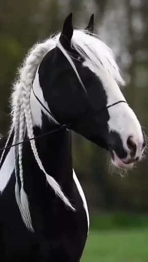 Спокойной ночи, Мариуполь!