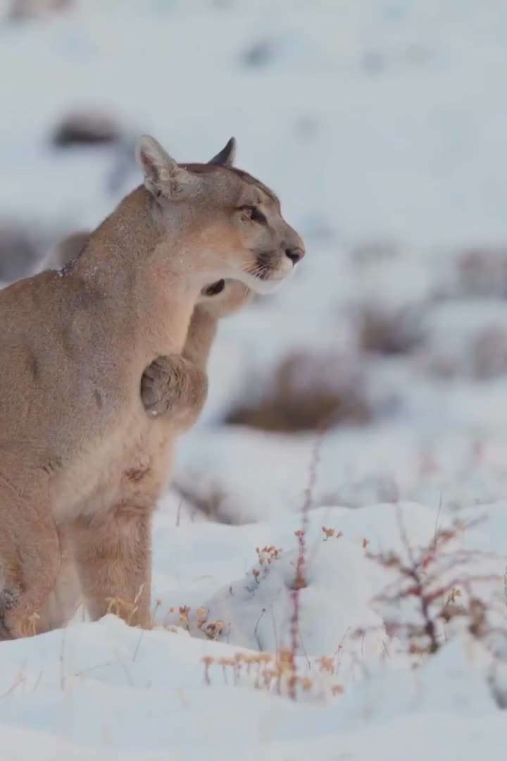 Спокойной ночи, Мариуполь!