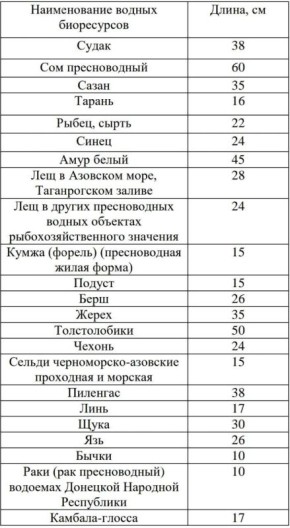  ()        1          1 