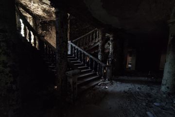  :  ,          ,      " ",   