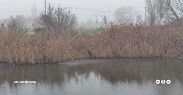 Мариупольские экологи возьмут пробы воды на участке реки Кальчик