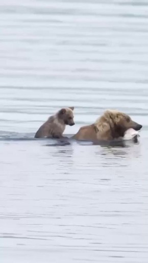 С добрым утром, Мариуполь!