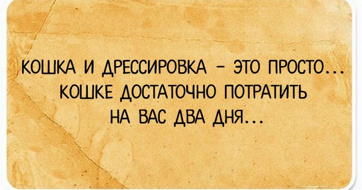 Минутка юмора. Мы в Telegram