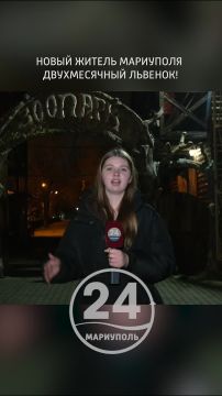 Спасенный львенок обрел новый дом в мариупольском зоопарке