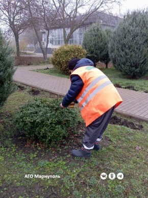 Коммунальщики готовят зеленые зоны Мариуполя к зиме