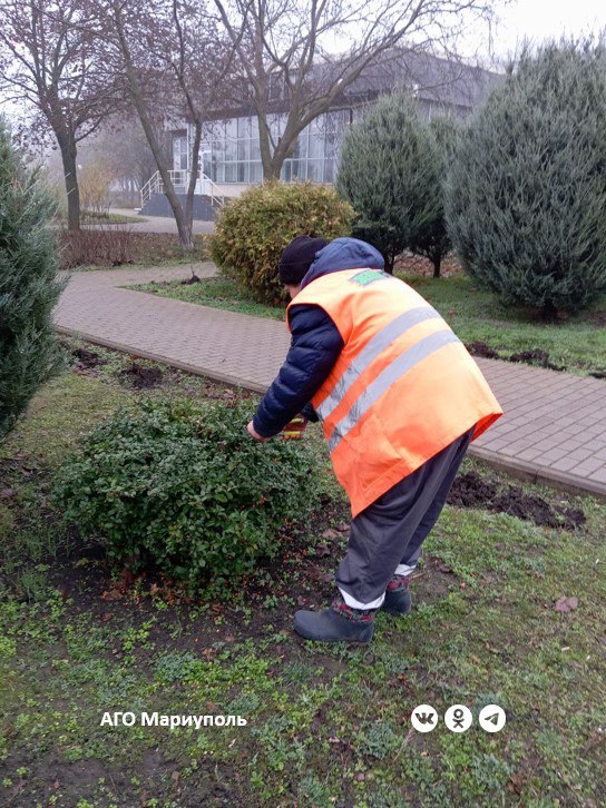 Коммунальщики готовят зеленые зоны Мариуполя к зиме