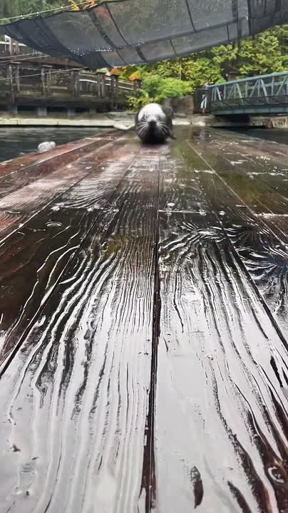 С добрым утром, Мариуполь!