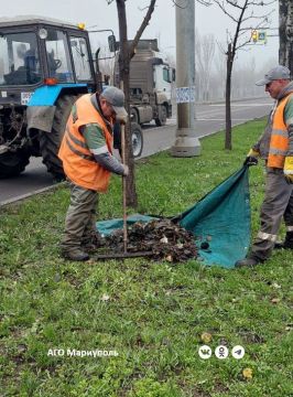 В Мариуполе рабочие зеленого строительства освобождают территории от растительного мусора
