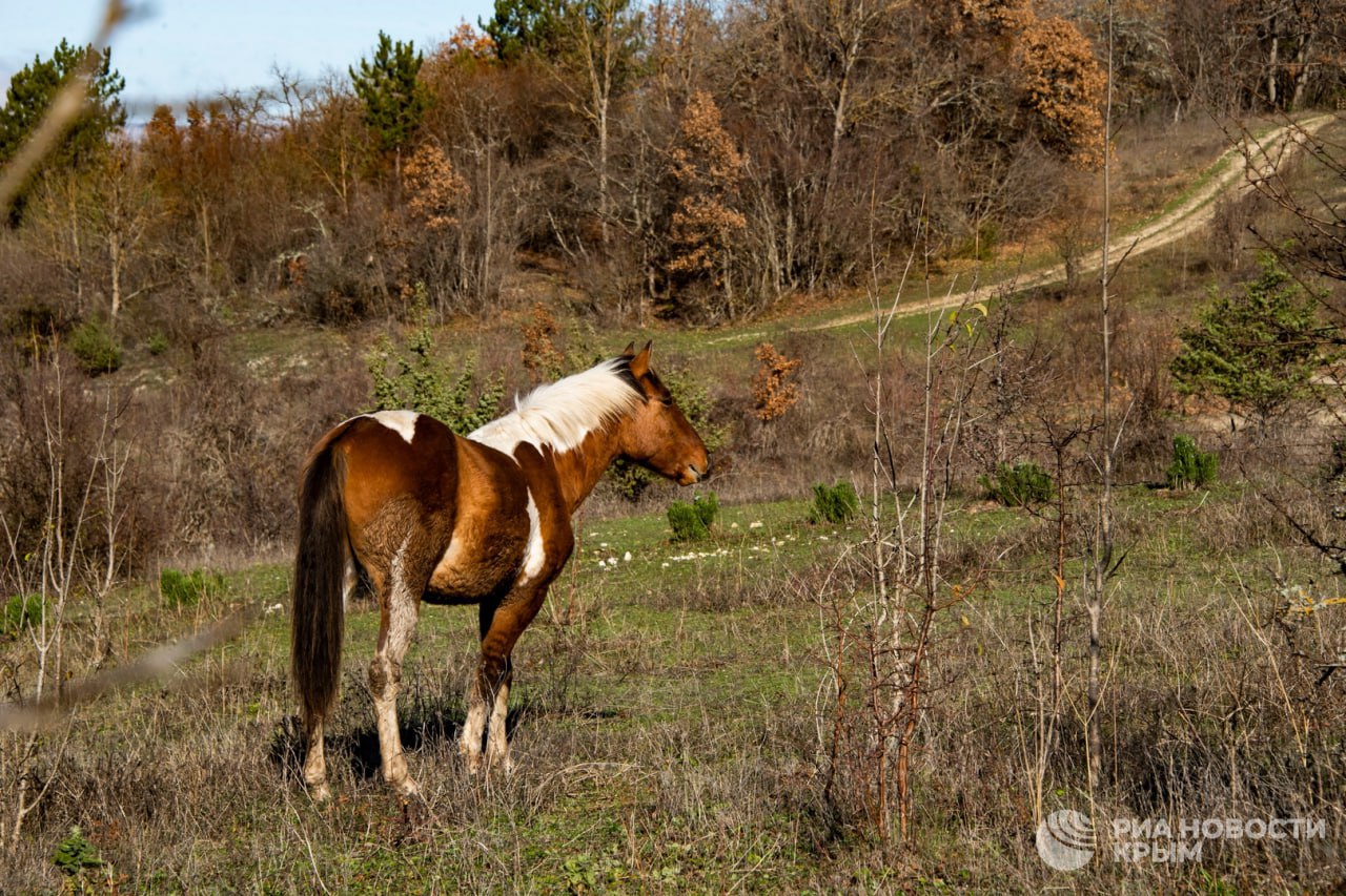 Погода на новых территориях России